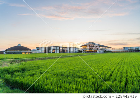 傍晚的 Suiden Terrace 129442419