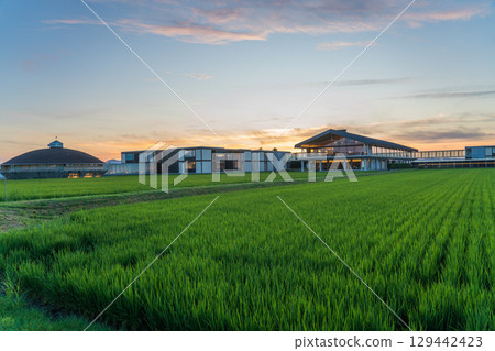 Suiden Terrace in the evening 129442423