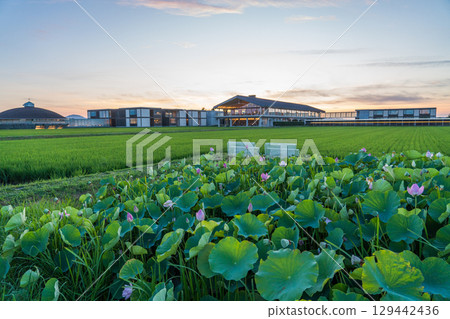 Suiden Terrace in the evening Suiden Terrace in the evening 129442436