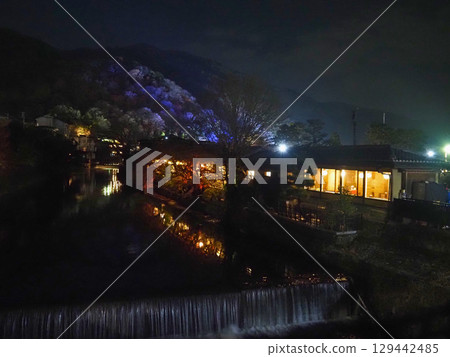 京都嵐山花燈路點燈 ⑤ 京都嵐山花燈路點燈 ⑤ 129442485