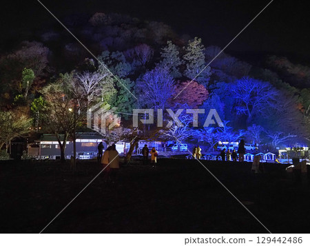 京都嵐山花燈路點燈④ 京都嵐山花燈路點燈④ 129442486