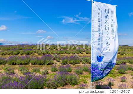 佛頭(摩艾石像,北海道,七月) 佛頭(摩艾石像,北海道,七月) 129442497