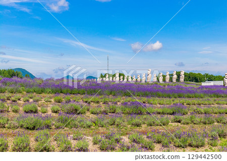 Head Buddha (Moai statue, Hokkaido, July) 129442500