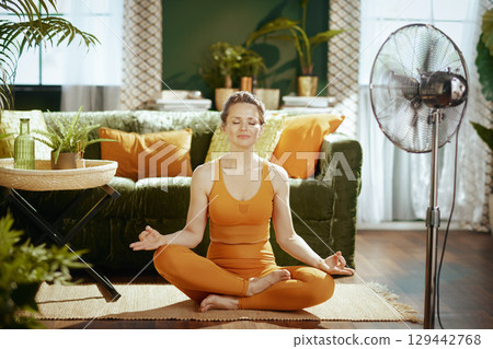 Peaceful Meditation in a Modern Living Room 129442768