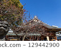 Yushima Tenmangu Shrine in early spring: Komainu and worship hall 129442900