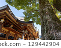 Yushima Tenmangu Shrine in early spring: Large trees and worship hall 129442904