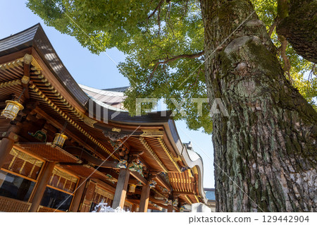 Yushima Tenmangu Shrine in early spring: Large trees and worship hall 129442904