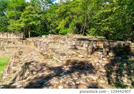 The remains of ancient Mayan structures surrounded by lush jungle at the Copan archaeological site, a UNESCO World Heritage site in Honduras 129442907