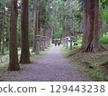 神社在森林裡 129443238