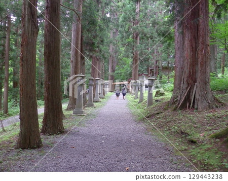 神社在森林裡 129443238