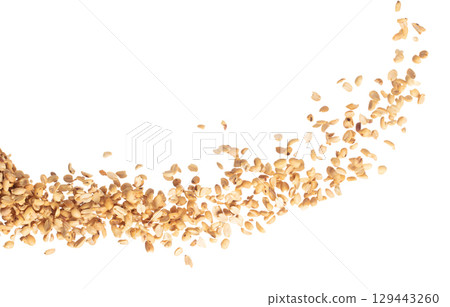Roasted Peanut bean fly explosion group, Roasted Peanut bean float explode, abstract cloud fly. Roasted Peanut beans splash throwing in Air. White background Isolated high speed shutter, freeze motion Roasted Peanut bean fly explosion group, Roasted Peanut bean float explode, abstract cloud fly. Roasted Peanut beans splash throwing in Air. White background Isolated high speed shutter, freeze motion 129443260