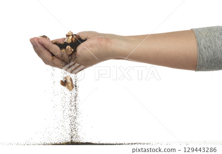 Gold ore nugget fall from industrial Miner hand fingers. Many pieces Golden nugget ore stone gravel found in hand of gold Mining industry. White background Isolated throwing freeze stop motion 129443286