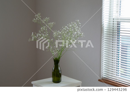 白色房間裡的滿天星 白色房間裡的滿天星 129443296