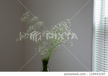 白色房間裡的滿天星 白色房間裡的滿天星 129443297