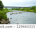 The gentle flow of the Kinokawa River in Wakayama Prefecture and a bridge visible in the distance 129443315