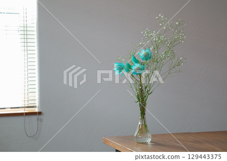 Cerulia and baby's breath in a white room 129443375