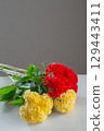 Celosia placed in a white room 129443411