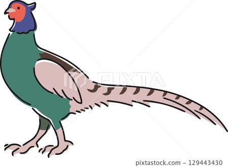 手繪野雞插圖 手繪野雞插圖 129443430