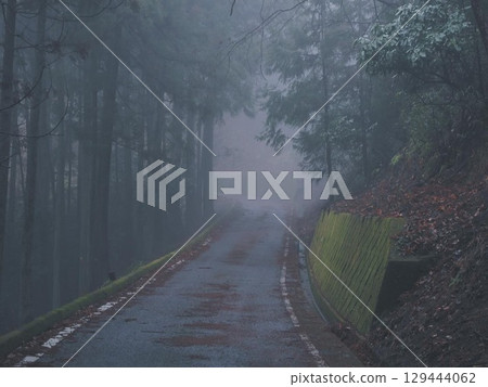 A path with no end in sight 129444062