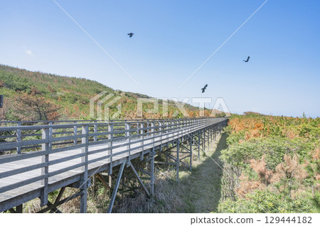 茨城鹿島灘海濱公園(鉾田市) 茨城鹿島灘海濱公園(鉾田市) 129444182