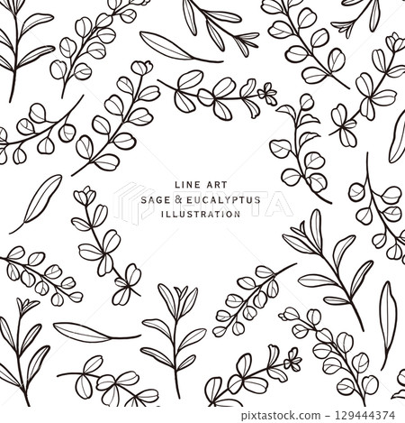 Eucalyptus and sage line drawing frame 129444374
