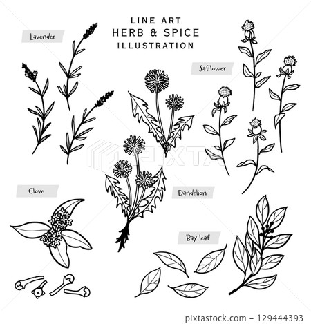 Kitchen herbs and spices line drawing illustration-2 Kitchen herbs and spices line drawing illustration-2 129444393