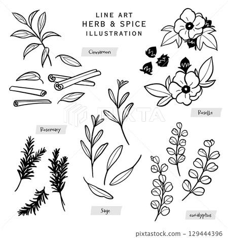 Kitchen herbs and spices line drawing illustration-5 Kitchen herbs and spices line drawing illustration-5 129444396