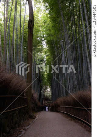 Kyoto, Arashiyama Takebayashi 129444505