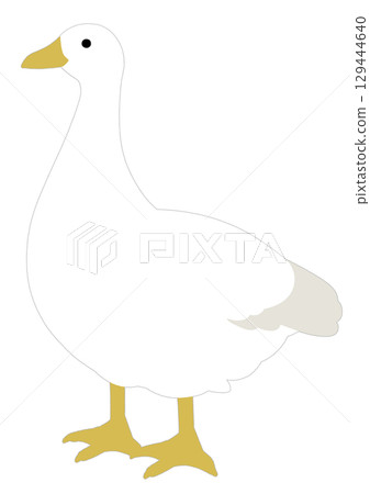 簡單的白鵝插圖 簡單的白鵝插圖 129444640