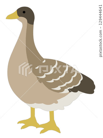 Simple brown goose illustration Simple brown goose illustration 129444641