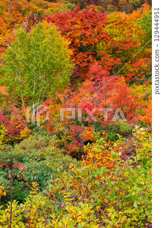 Hachimantaira秋葉 Hachimantaira秋葉 129444951