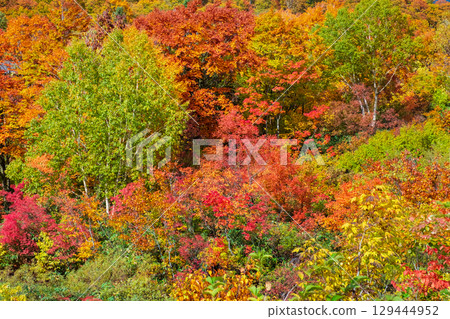 Autumn leaves of Hachimantaira Autumn leaves of Hachimantaira 129444952