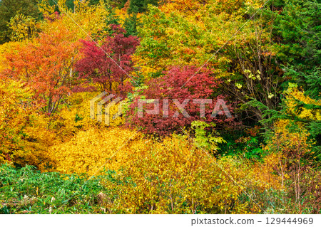 Hachimantaira秋葉 129444969