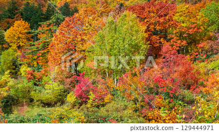 Hachimantaira秋葉 129444971