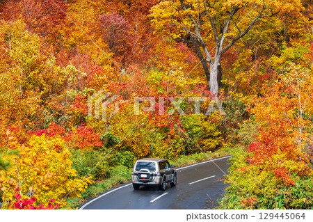Autumn leaves in Hachimantai (Hachimantai Aspite Line) 129445064