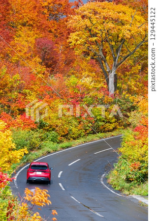 八幡平的紅葉（八幡平阿斯皮特線） 129445122