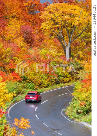 八幡平的紅葉（八幡平阿斯皮特線） 129445123