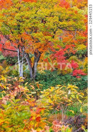 Hachimantaira秋葉 Hachimantaira秋葉 129445153