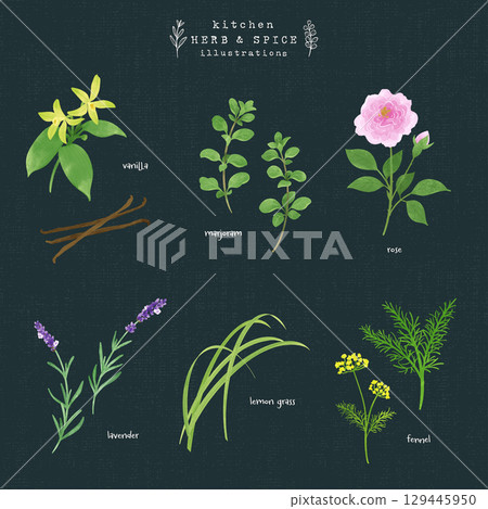 Kitchen herbs and spices watercolor illustration-4 (navy blue background) Kitchen herbs and spices watercolor illustration-4 (navy blue background) 129445950