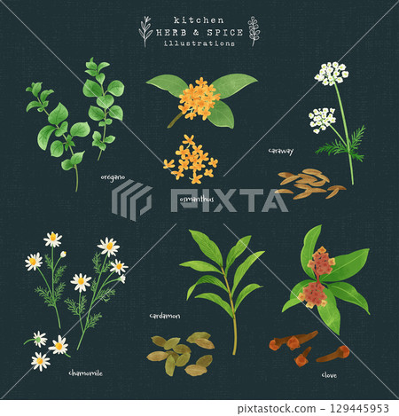 廚房香草和香料水彩插圖-1(海軍藍色背景) 廚房香草和香料水彩插圖-1(海軍藍色背景) 129445953