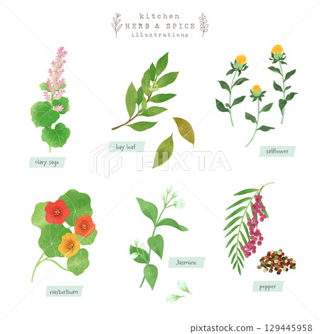 廚房香草和香料水彩插圖-6 129445958