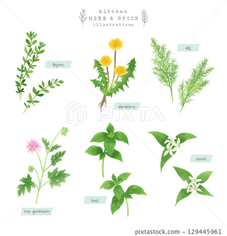 廚房香草和香料水彩插圖-3 廚房香草和香料水彩插圖-3 129445961