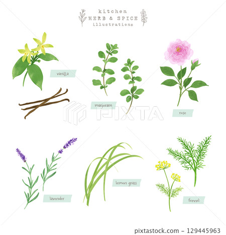 Kitchen herbs and spices watercolor illustration-4 129445963