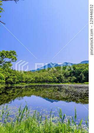 A stroll around the Shiretoko Five Lakes on Hokkaido's Shiretoko Peninsula under a clear blue June sky. The mountains and virgin forests reflected on the lake's surface are beautiful. 129446032