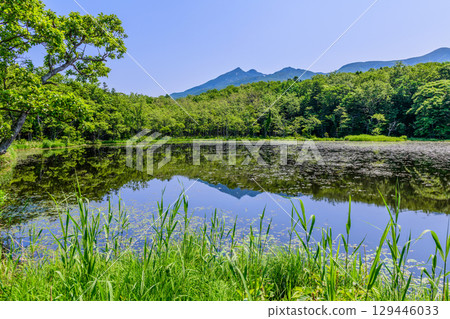 A stroll around the Shiretoko Five Lakes on Hokkaido's Shiretoko Peninsula under a clear blue June sky. The mountains and virgin forests reflected on the lake's surface are beautiful. 129446033