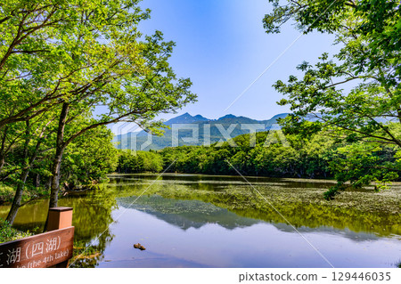 A stroll around the Shiretoko Five Lakes on Hokkaido's Shiretoko Peninsula under a clear blue June sky. The mountains and virgin forests reflected on the lake's surface are beautiful. A stroll around the Shiretoko Five Lakes on Hokkaido's Shiretoko Peninsula under a clear blue June sky. The mountains and virgin forests reflected on the lake's surface are beautiful. 129446035