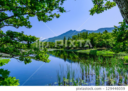 A stroll around the Shiretoko Five Lakes on Hokkaido's Shiretoko Peninsula under a clear blue June sky. The mountains and virgin forests reflected on the lake's surface are beautiful. A stroll around the Shiretoko Five Lakes on Hokkaido's Shiretoko Peninsula under a clear blue June sky. The mountains and virgin forests reflected on the lake's surface are beautiful. 129446039