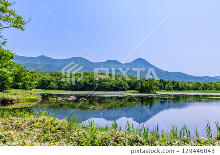 A stroll around the Shiretoko Five Lakes on Hokkaido's Shiretoko Peninsula under a clear blue June sky. The mountains and virgin forests reflected on the lake's surface are beautiful. 129446043