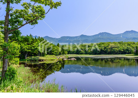 A stroll around the Shiretoko Five Lakes on Hokkaido's Shiretoko Peninsula under a clear blue June sky. The mountains and virgin forests reflected on the lake's surface are beautiful. 129446045
