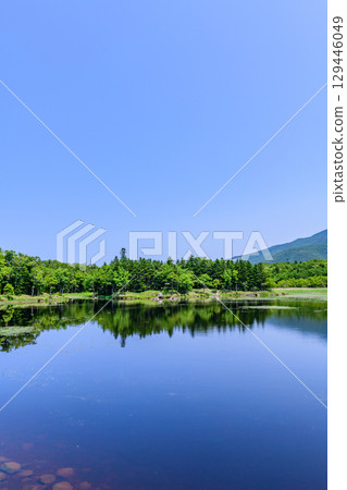 A stroll around the Shiretoko Five Lakes on Hokkaido's Shiretoko Peninsula under a clear blue June sky. The mountains and virgin forests reflected on the lake's surface are beautiful. 129446049